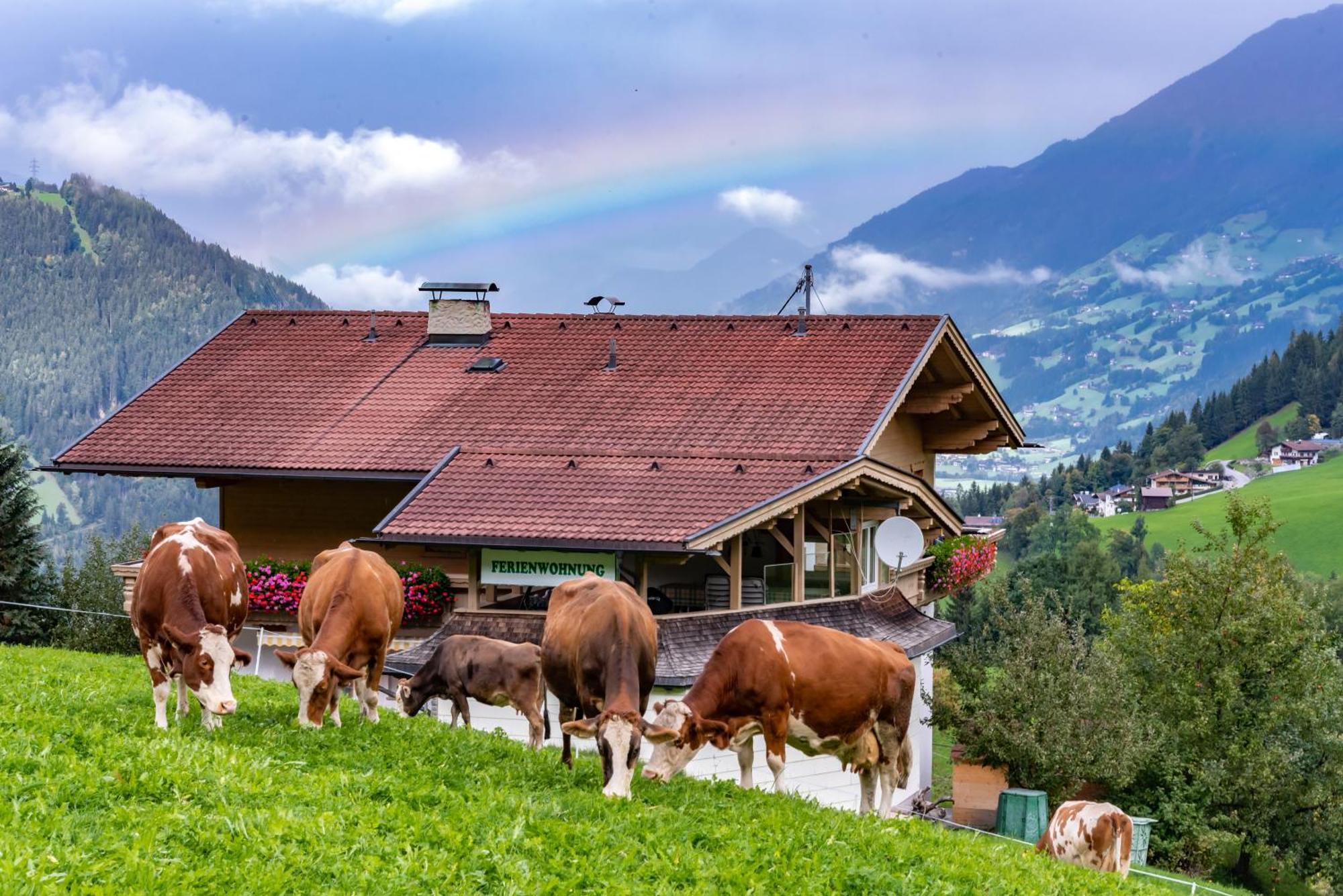 Ferienwohnung Ausblick Zillertal 하이젠베르크 외부 사진