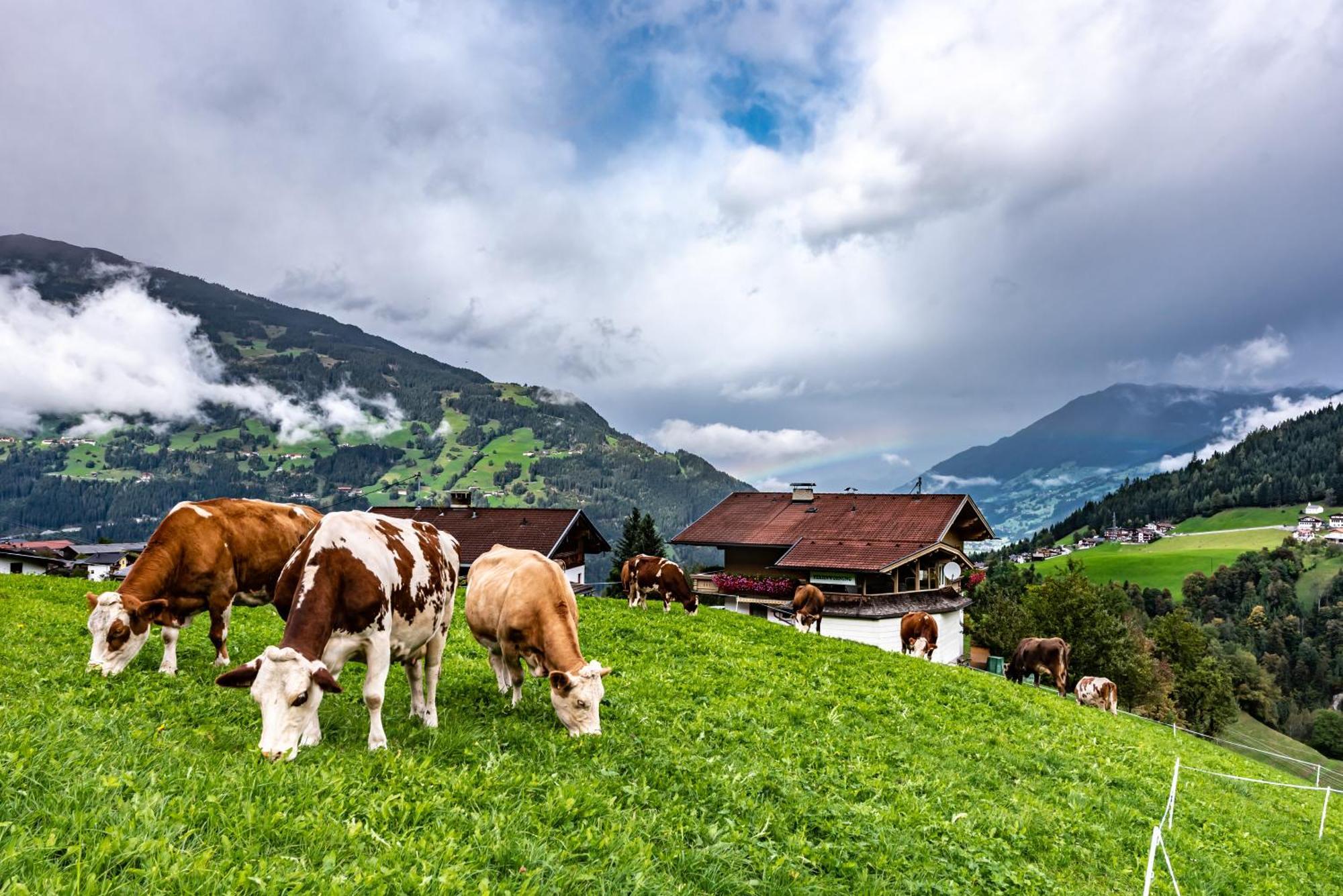 Ferienwohnung Ausblick Zillertal 하이젠베르크 외부 사진